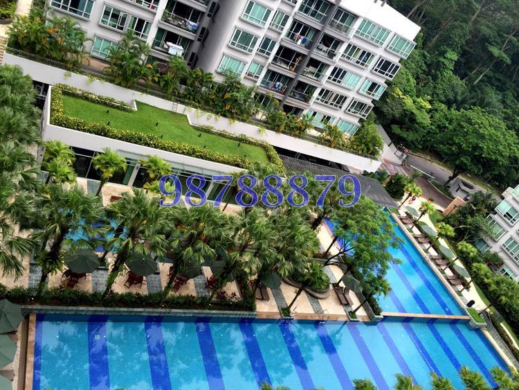 The Raintree (D21), Condominium #85120342